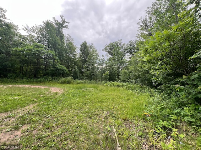 1283 230th Ave, Milltown, WI 54853 - photo 44