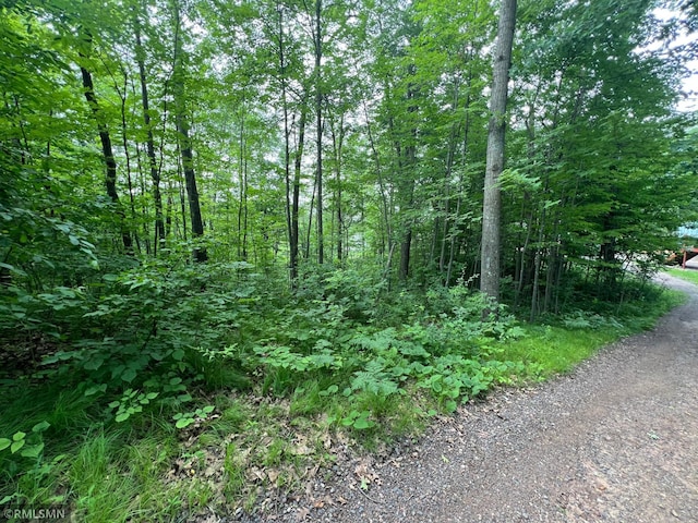1283 230th Ave, Milltown, WI 54853 - photo 47