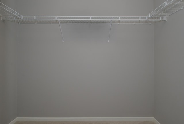 8397 Norwood Ln N, Maple Grove, MN 55311 - spacious closet with carpet flooring