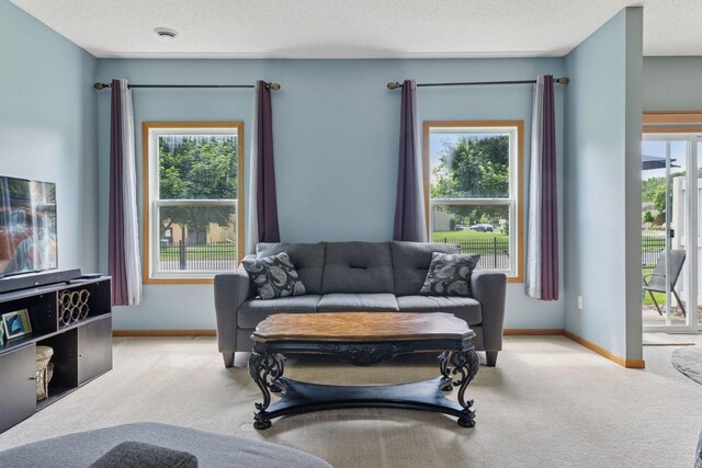 7308 Unity Ln N, Brooklyn Park, MN 55443 - living area with carpet flooring and baseboards