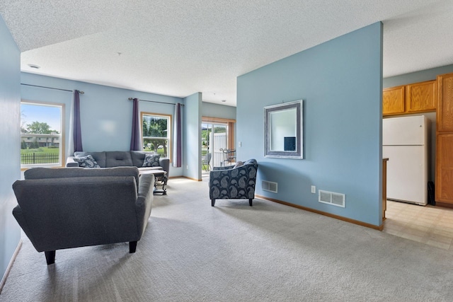 7308 Unity Ln N, Brooklyn Park, MN 55443 - living room with light colored carpet, plenty of natural light, and a textured ceiling