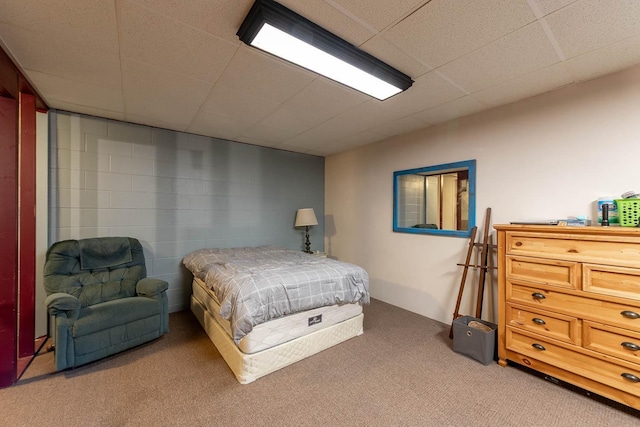 25 Piccadilly Pl, Mankato, MN 56001 - bedroom featuring light colored carpet and a paneled ceiling