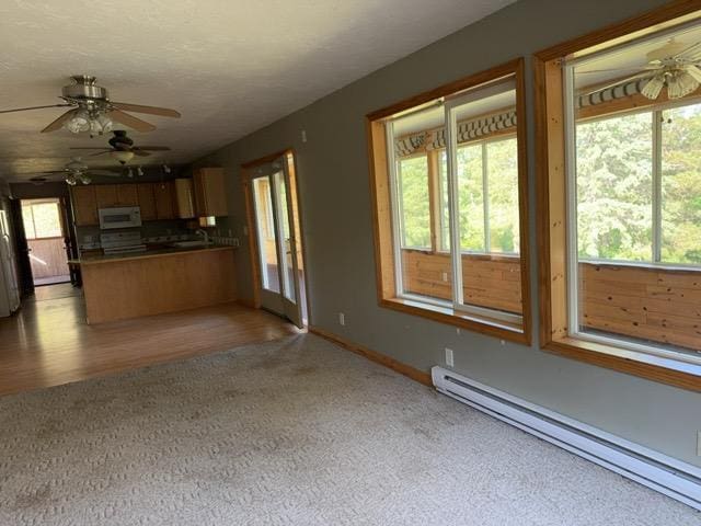 7300 County Road 8 NE, Longville, MN 56655 - unfurnished living room with a baseboard heating unit, light carpet, and plenty of natural light