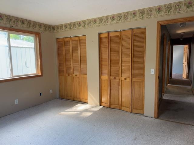 7300 County Road 8 NE, Longville, MN 56655 - unfurnished bedroom featuring light carpet and multiple closets