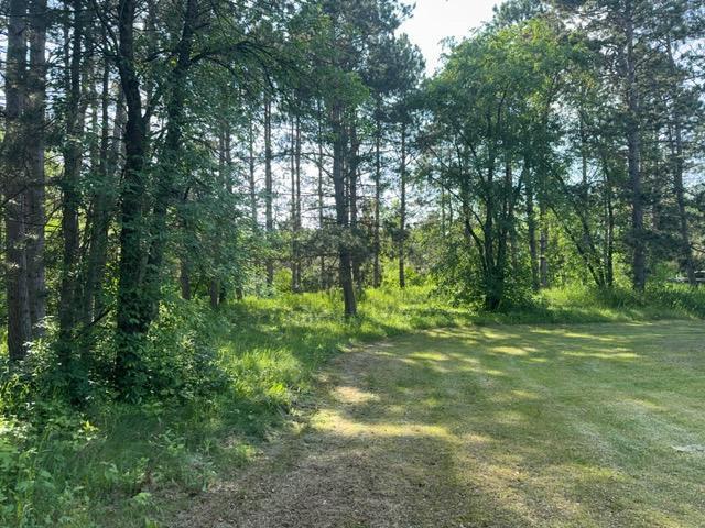 7300 County Road 8 NE, Longville, MN 56655 - view of tree filled area