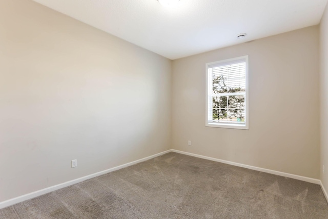 6818 Camden Ave N, Brooklyn Center, MN 55430 - photo 21