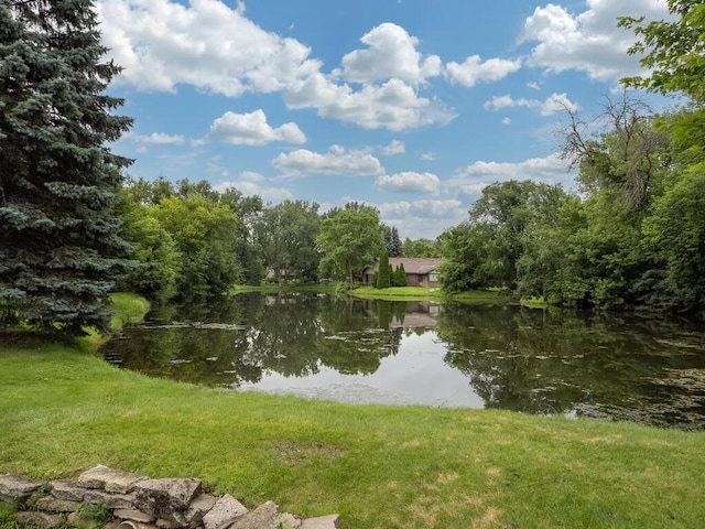 1181 Yuma Ln N, Plymouth, MN 55447 - water view
