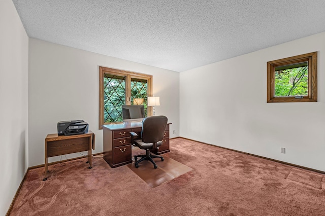 1267 Nursery Hill Ln, Arden Hills, MN 55112 - home office featuring carpet, healthy amount of natural light, and a textured ceiling