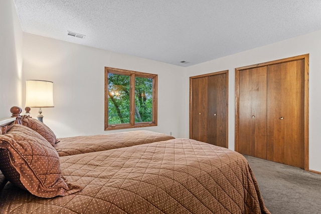 1267 Nursery Hill Ln, Arden Hills, MN 55112 - bedroom featuring carpet flooring, multiple closets, and a textured ceiling