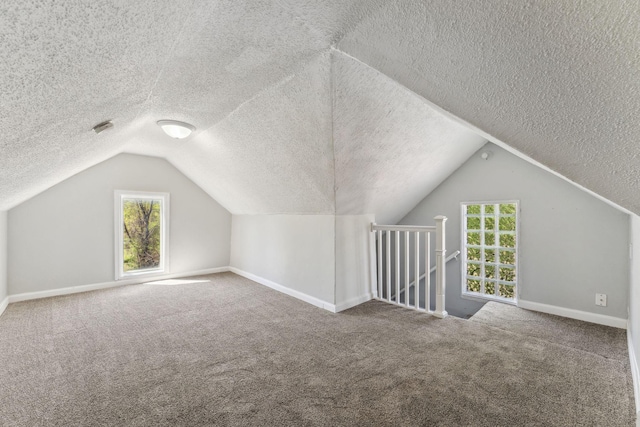 201 Genesee St, Saint Paul, MN 55117 - additional living space with a textured ceiling, carpet flooring, and vaulted ceiling