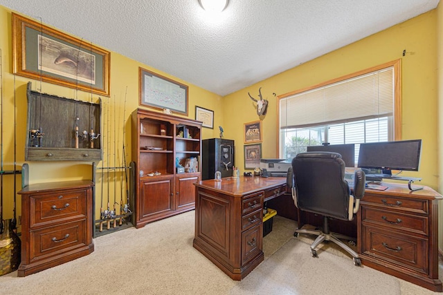 1809 Michigan Dr, Northfield, MN 55057 - photo 29