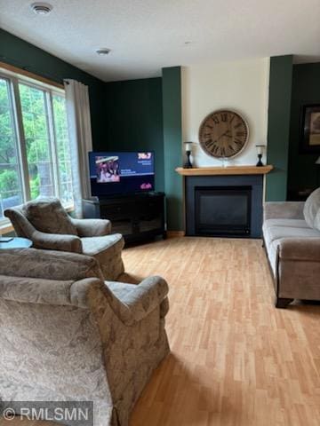 2460 119th Ct NE Unit D, Blaine, MN 55449 - living room with a glass covered fireplace and wood finished floors