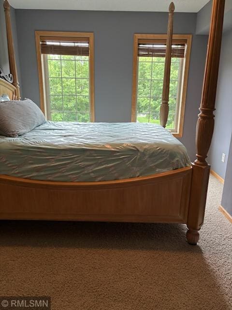 2460 119th Ct NE Unit D, Blaine, MN 55449 - carpeted bedroom with baseboards