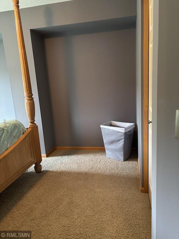 2460 119th Ct NE Unit D, Blaine, MN 55449 - view of closet