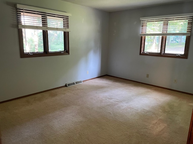 5491 Lake Sarah Heights Dr, Loretto, MN 55357 - photo 23