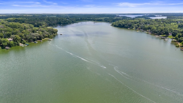 5491 Lake Sarah Heights Dr, Loretto, MN 55357 - photo 8