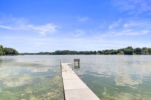 5491 Lake Sarah Heights Dr, Loretto, MN 55357 - photo 10
