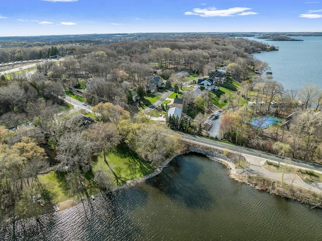 780 Virginia Shores Cir, Excelsior, MN 55331 - aerial view of property's location featuring a large body of water