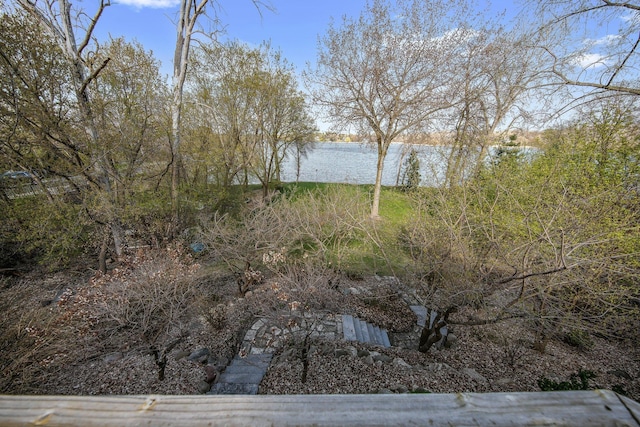 780 Virginia Shores Cir, Excelsior, MN 55331 - water view