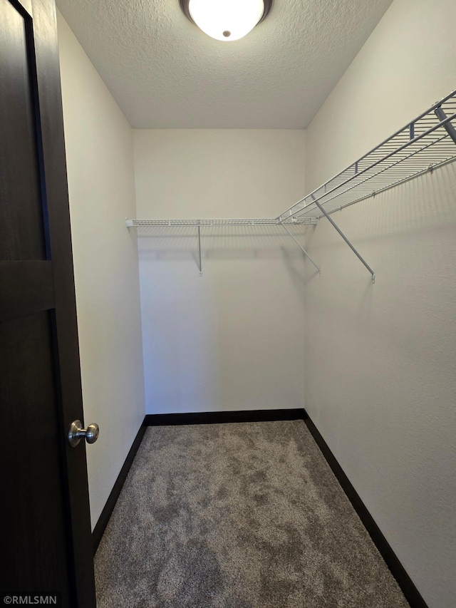 2101 Nelson St, Saint Peter, MN 56082 - walk in closet with carpet floors