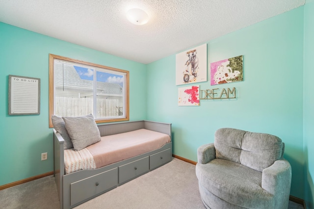 728 Elm St, Belle Plaine, MN 56011 - living area featuring carpet and a textured ceiling