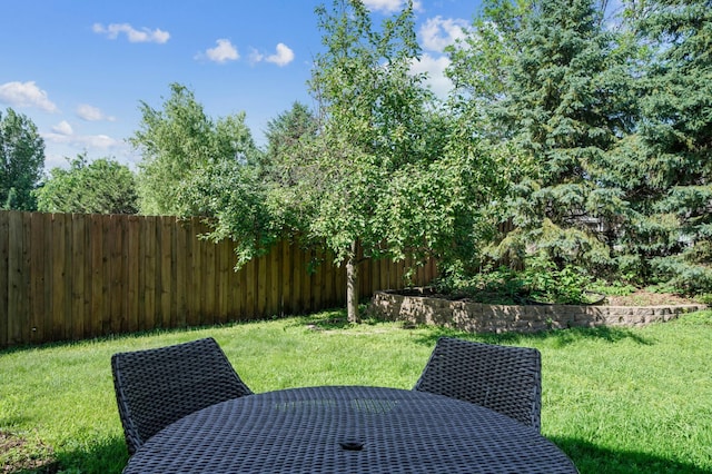 728 Elm St, Belle Plaine, MN 56011 - view of yard featuring outdoor dining space