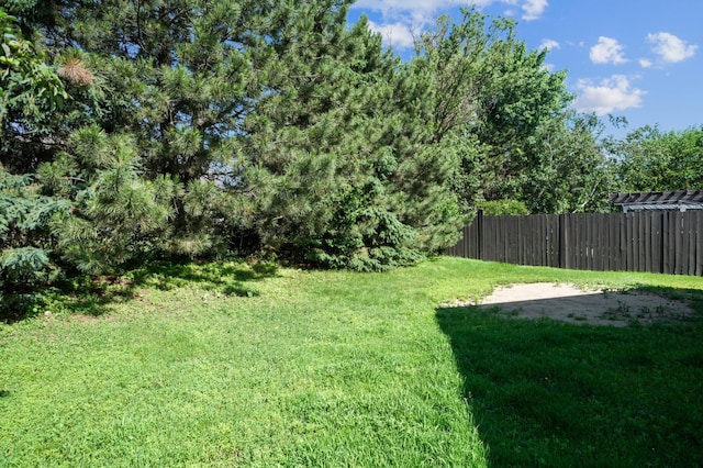 728 Elm St, Belle Plaine, MN 56011 - view of yard