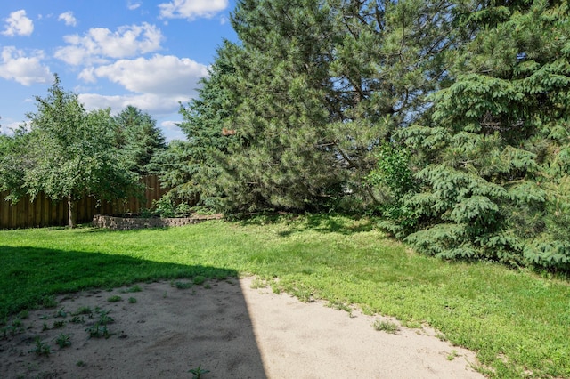 728 Elm St, Belle Plaine, MN 56011 - view of yard