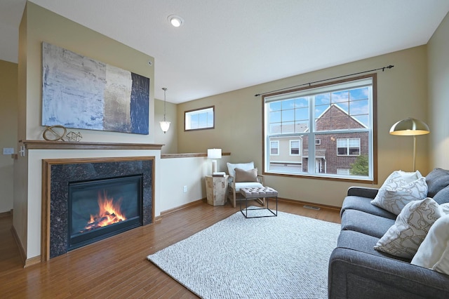 16618 72nd Ct NE, Otsego, MN 55330 - living area featuring wood finished floors and a premium fireplace
