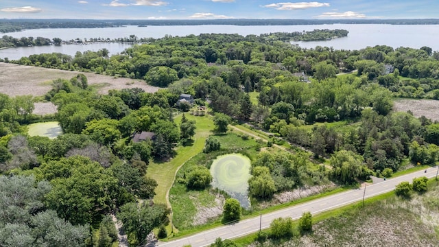 940 Brown Rd S, Wayzata, MN 55391 - aerial view of a large body of water