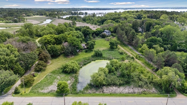 940 Brown Rd S, Wayzata, MN 55391 - bird's eye view of a nearby body of water