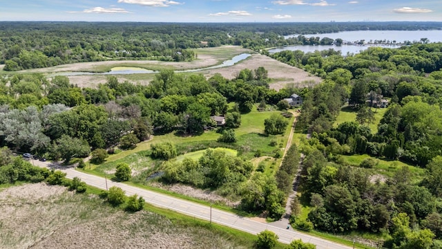 940 Brown Rd S, Wayzata, MN 55391 - aerial view of a large body of water and a forest