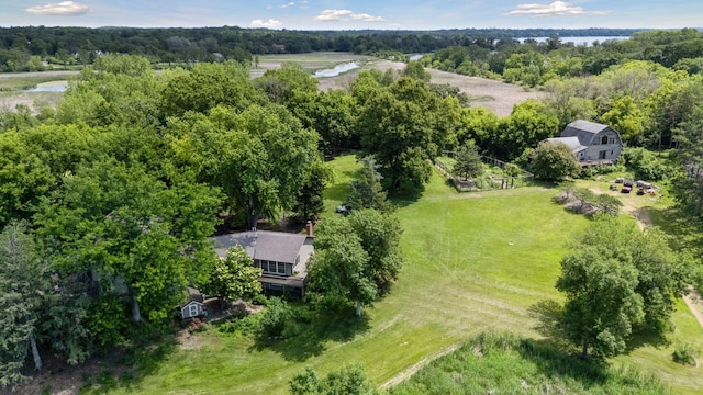 940 Brown Rd S, Wayzata, MN 55391 - view from above of property with a heavily wooded area