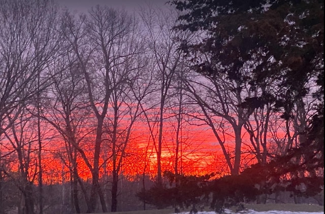 940 Brown Rd S, Wayzata, MN 55391 - view of nature