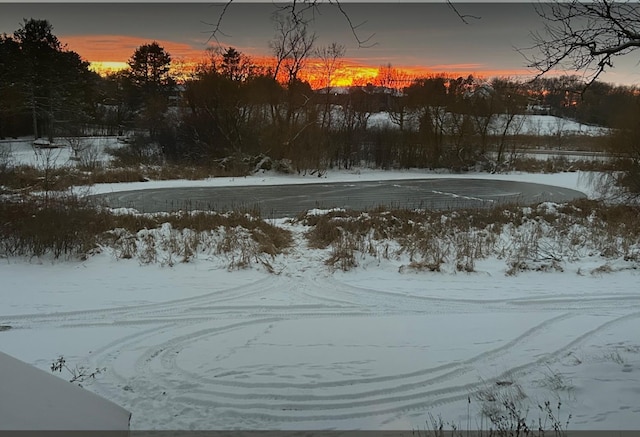 940 Brown Rd S, Wayzata, MN 55391 - view of snow covered pool