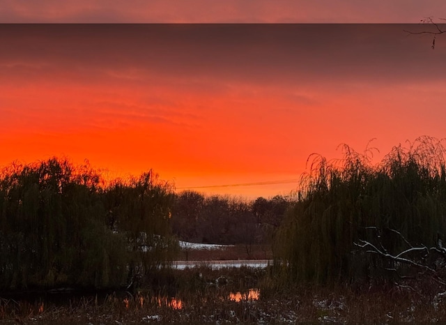 940 Brown Rd S, Wayzata, MN 55391 - nature at dusk featuring a water view