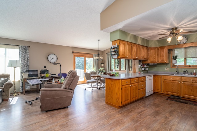 350 3rd St NE, Mcintosh, MN 56556 - kitchen with open floor plan, dishwasher, and dark wood-type flooring