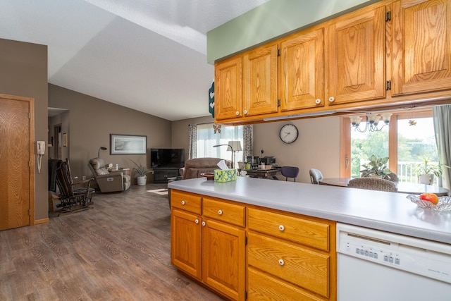 350 3rd St NE, Mcintosh, MN 56556 - kitchen with dishwasher, vaulted ceiling, open floor plan, dark wood-style flooring, and light countertops
