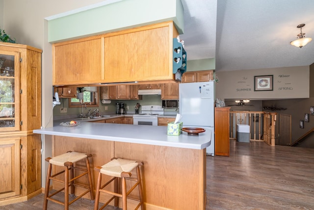 350 3rd St NE, Mcintosh, MN 56556 - kitchen with white appliances, dark wood-style flooring, under cabinet range hood, a peninsula, and a breakfast bar area