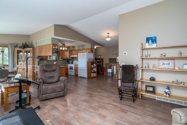 350 3rd St NE, Mcintosh, MN 56556 - living room with vaulted ceiling and dark wood-style flooring