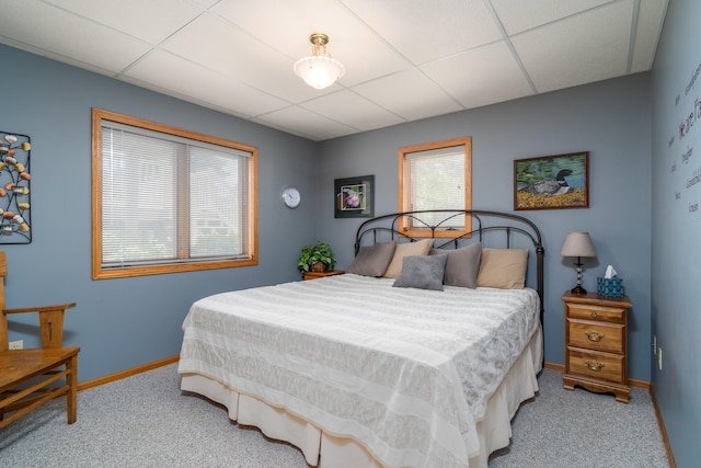 350 3rd St NE, Mcintosh, MN 56556 - bedroom featuring carpet flooring and a paneled ceiling