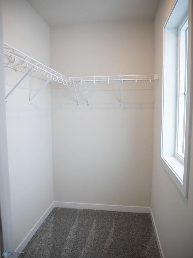 1449 66th Ave S, Fargo, ND 58104 - walk in closet with carpet