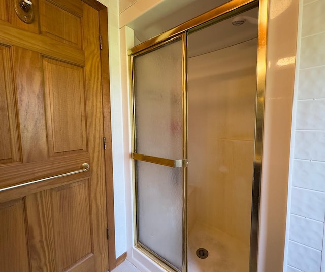 1198 Mink Rd, Ellsburg Twp, MN 55724 - full bathroom with a stall shower