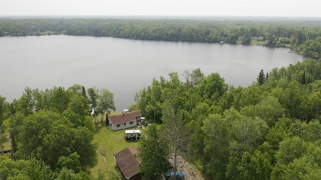 1198 Mink Rd, Ellsburg Twp, MN 55724 - drone / aerial view of a large body of water and a heavily wooded area