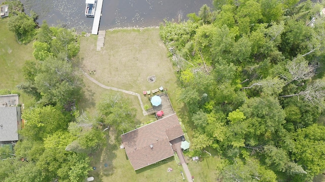 1198 Mink Rd, Ellsburg Twp, MN 55724 - bird's eye view