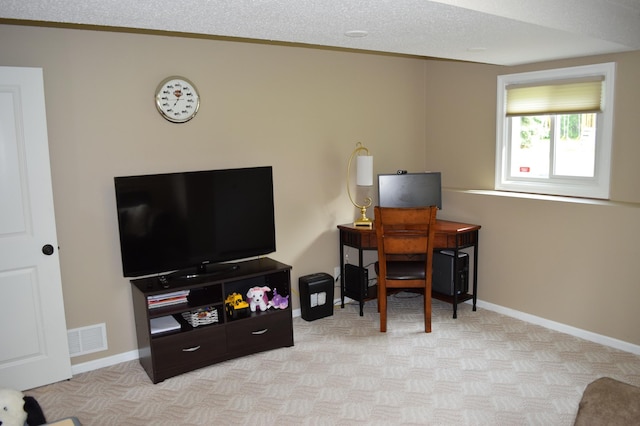 12115 50th Ave N, Plymouth, MN 55442 - office space with light carpet and a textured ceiling