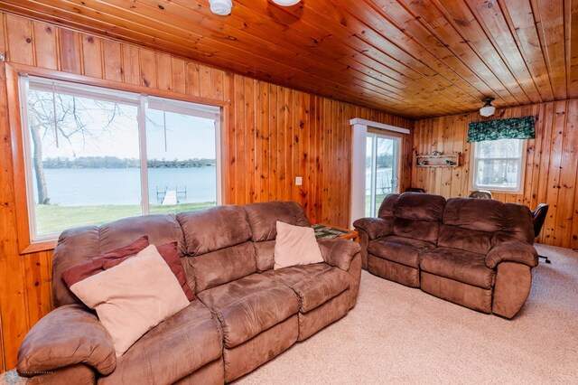 20841 Leona Beach Rd, Erie Twp, MN 56578 - photo 8