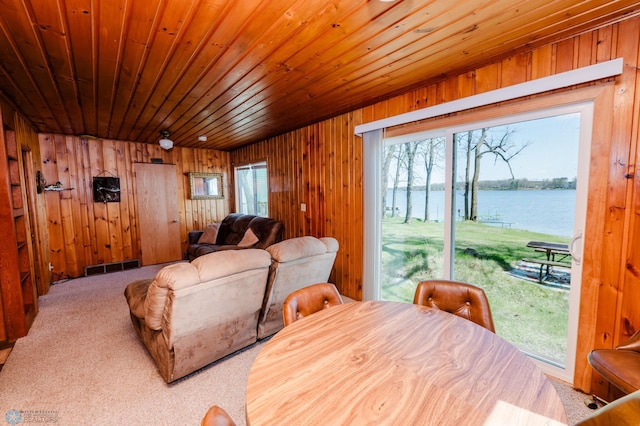 20841 Leona Beach Rd, Erie Twp, MN 56578 - photo 10