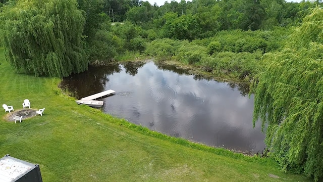 6257 185th Ave SE, Santiago Twp, MN 55308 - water view with a floating dock and a fire pit