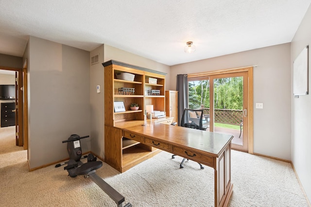 6257 185th Ave SE, Santiago Twp, MN 55308 - home office featuring carpet and a textured ceiling